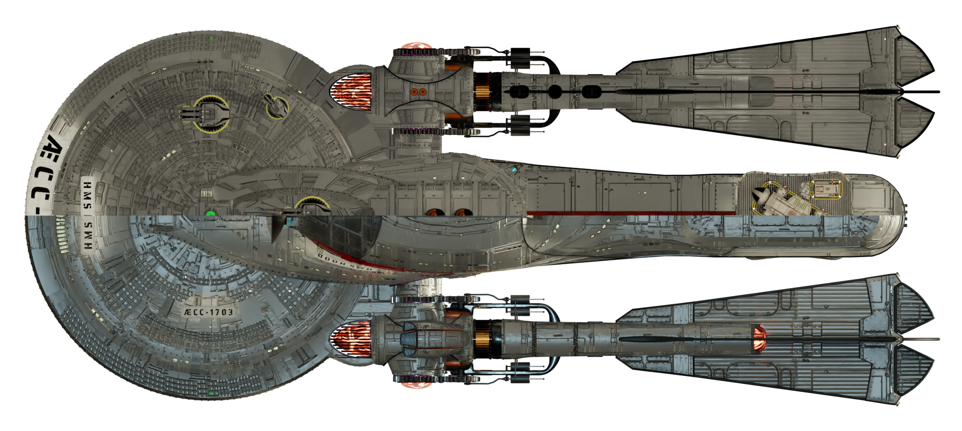 HMS HOOD - Dorsal/Ventral View